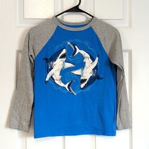 GAP Boys Shark tee Sz M